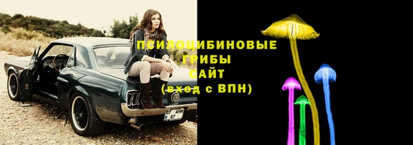 мяу мяу мука Верея
